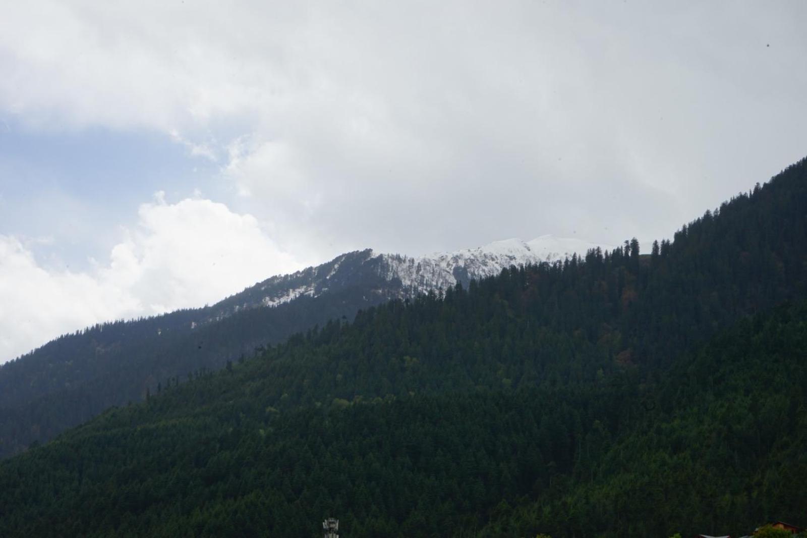 Hotel Magnolia Mallroad Manali Екстер'єр фото
